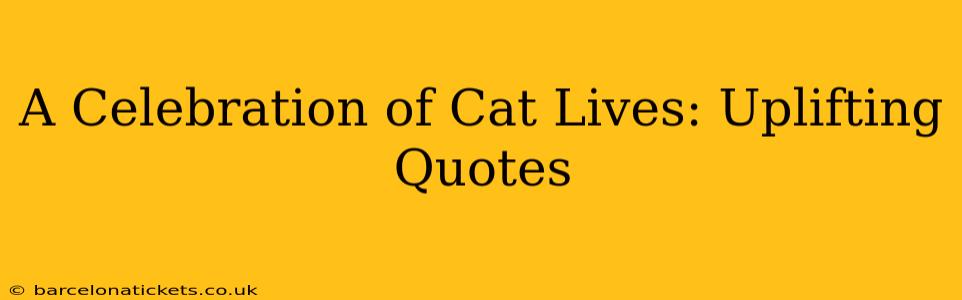 A Celebration of Cat Lives: Uplifting Quotes