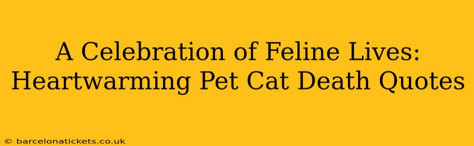 A Celebration of Feline Lives: Heartwarming Pet Cat Death Quotes