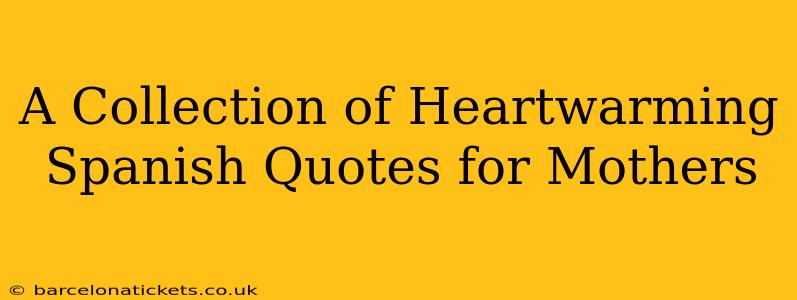 A Collection of Heartwarming Spanish Quotes for Mothers