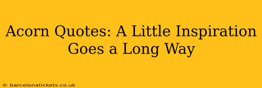 Acorn Quotes: A Little Inspiration Goes a Long Way