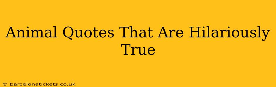 Animal Quotes That Are Hilariously True