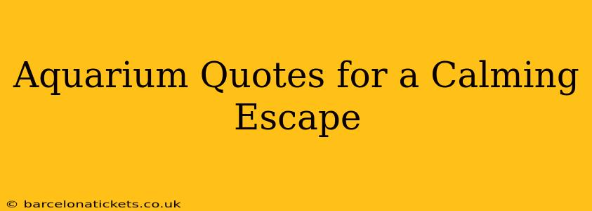 Aquarium Quotes for a Calming Escape