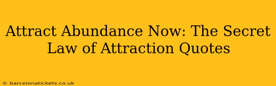 Attract Abundance Now: The Secret Law of Attraction Quotes