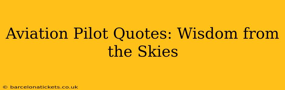 Aviation Pilot Quotes: Wisdom from the Skies