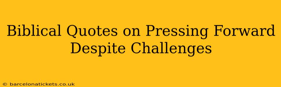 Biblical Quotes on Pressing Forward Despite Challenges