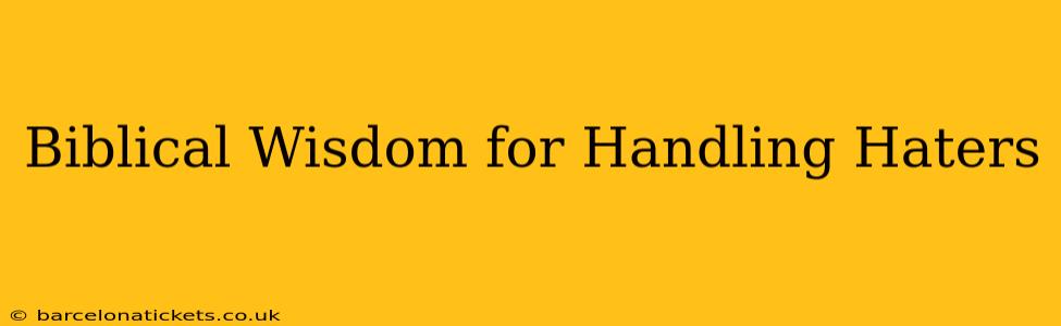 Biblical Wisdom for Handling Haters
