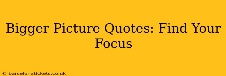 Bigger Picture Quotes: Find Your Focus