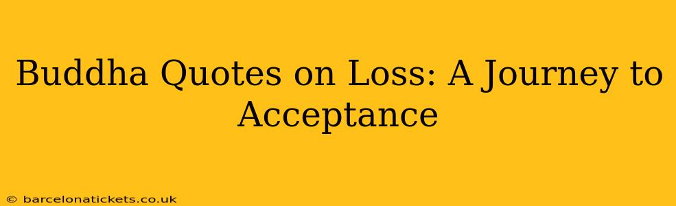 Buddha Quotes on Loss: A Journey to Acceptance