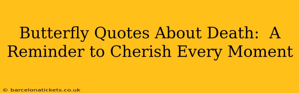 Butterfly Quotes About Death:  A Reminder to Cherish Every Moment