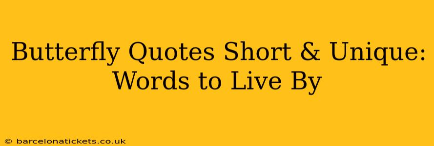 Butterfly Quotes Short & Unique: Words to Live By