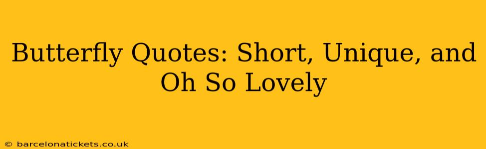 Butterfly Quotes: Short, Unique, and Oh So Lovely