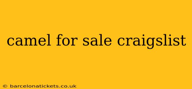 camel for sale craigslist