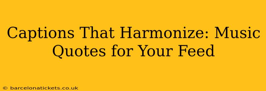 Captions That Harmonize: Music Quotes for Your Feed