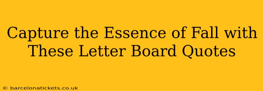 Capture the Essence of Fall with These Letter Board Quotes