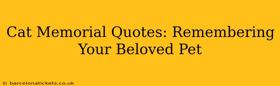 Cat Memorial Quotes: Remembering Your Beloved Pet