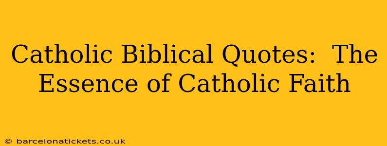 Catholic Biblical Quotes:  The Essence of Catholic Faith