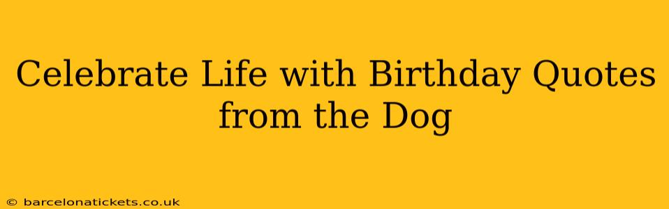 Celebrate Life with Birthday Quotes from the Dog