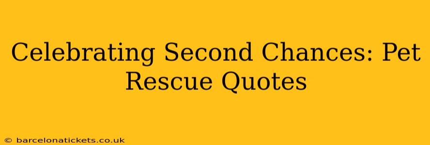 Celebrating Second Chances: Pet Rescue Quotes