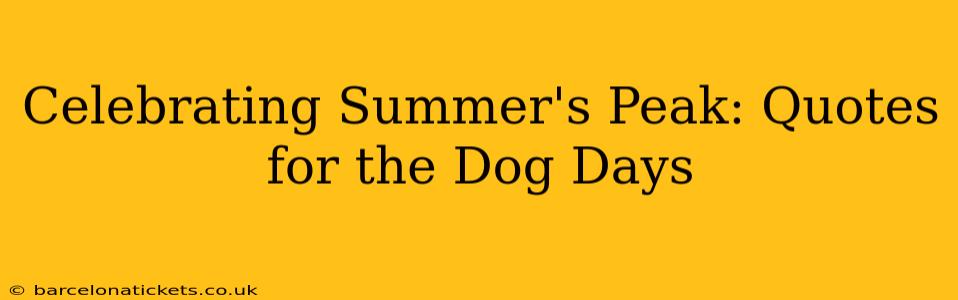 Celebrating Summer's Peak: Quotes for the Dog Days