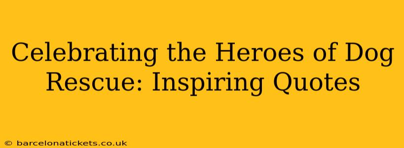 Celebrating the Heroes of Dog Rescue: Inspiring Quotes