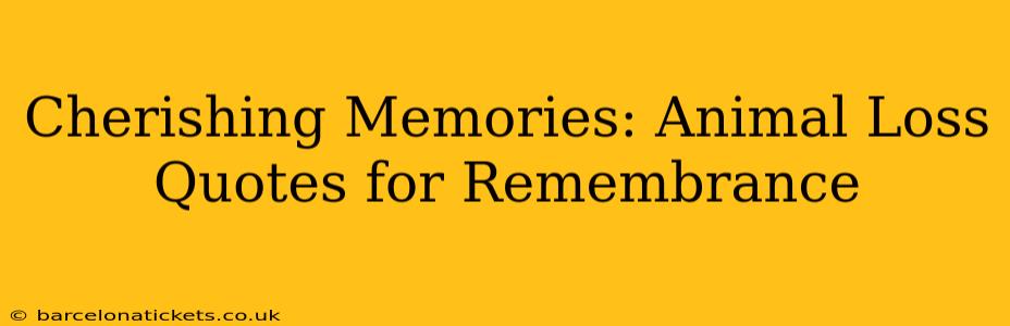 Cherishing Memories: Animal Loss Quotes for Remembrance