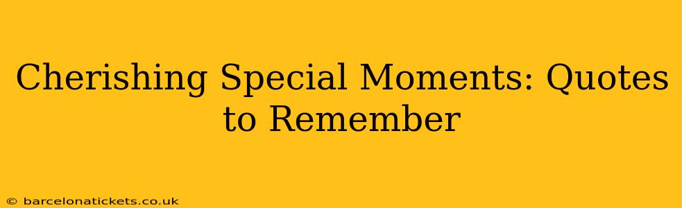 Cherishing Special Moments: Quotes to Remember