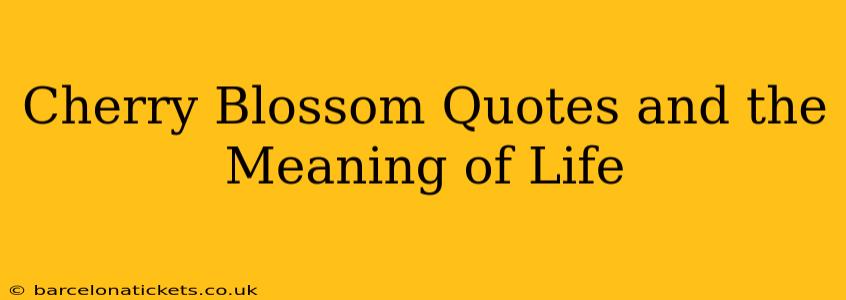 Cherry Blossom Quotes and the Meaning of Life
