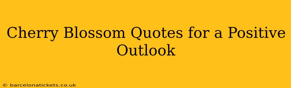 Cherry Blossom Quotes for a Positive Outlook