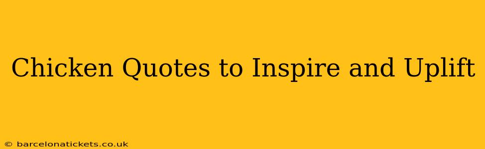 Chicken Quotes to Inspire and Uplift