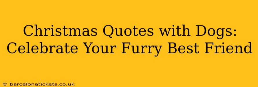 Christmas Quotes with Dogs: Celebrate Your Furry Best Friend