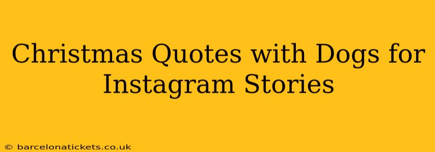 Christmas Quotes with Dogs for Instagram Stories