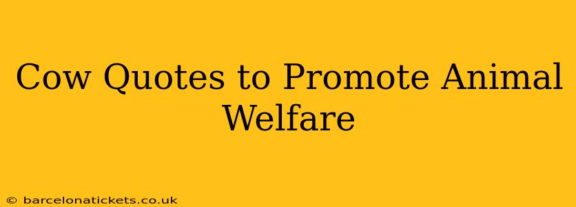 Cow Quotes to Promote Animal Welfare