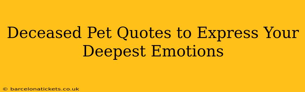 Deceased Pet Quotes to Express Your Deepest Emotions