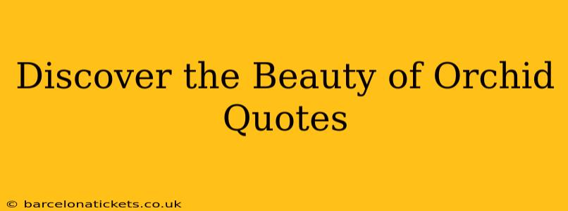 Discover the Beauty of Orchid Quotes