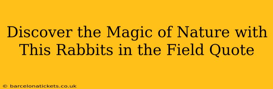 Discover the Magic of Nature with This Rabbits in the Field Quote