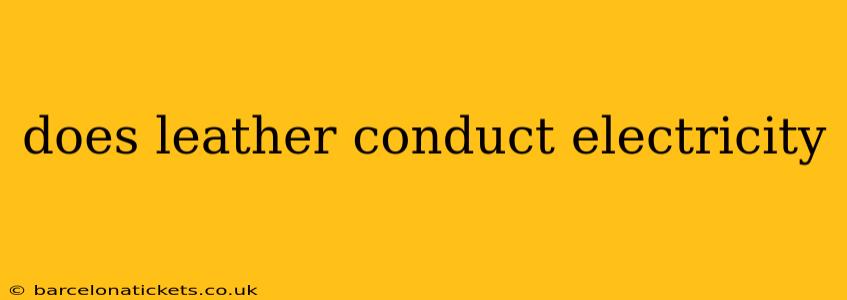 does leather conduct electricity