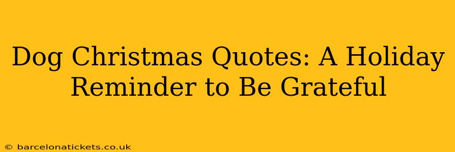 Dog Christmas Quotes: A Holiday Reminder to Be Grateful