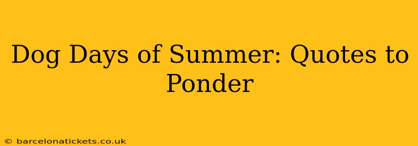 Dog Days of Summer: Quotes to Ponder