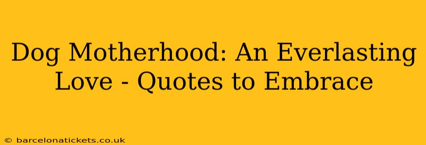 Dog Motherhood: An Everlasting Love - Quotes to Embrace
