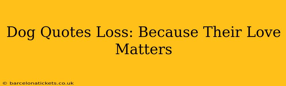 Dog Quotes Loss: Because Their Love Matters