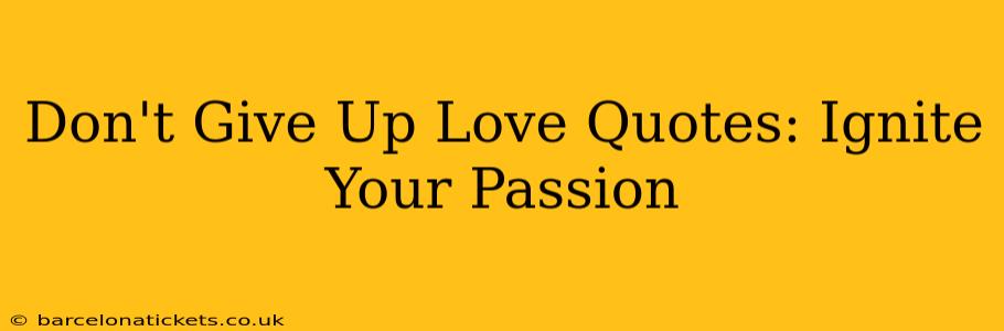 Don't Give Up Love Quotes: Ignite Your Passion