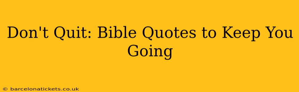 Don't Quit: Bible Quotes to Keep You Going