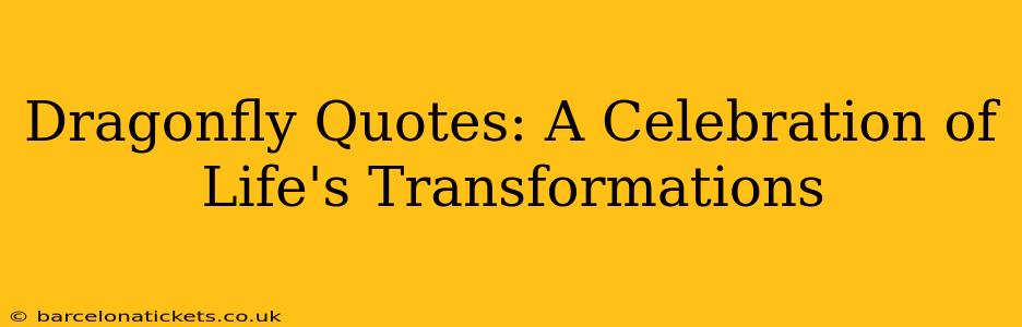 Dragonfly Quotes: A Celebration of Life's Transformations