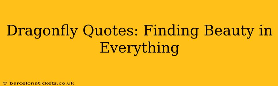 Dragonfly Quotes: Finding Beauty in Everything
