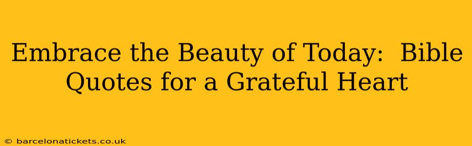 Embrace the Beauty of Today:  Bible Quotes for a Grateful Heart