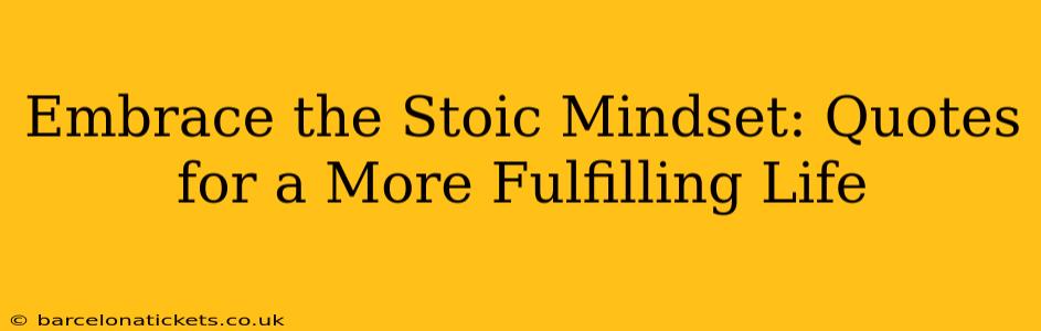 Embrace the Stoic Mindset: Quotes for a More Fulfilling Life