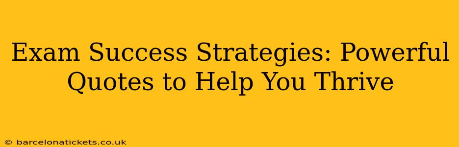 Exam Success Strategies: Powerful Quotes to Help You Thrive