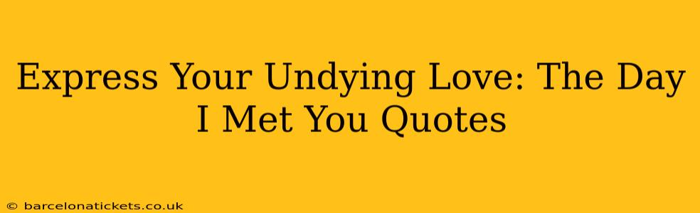 Express Your Undying Love: The Day I Met You Quotes