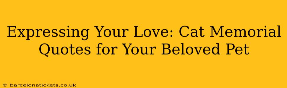 Expressing Your Love: Cat Memorial Quotes for Your Beloved Pet