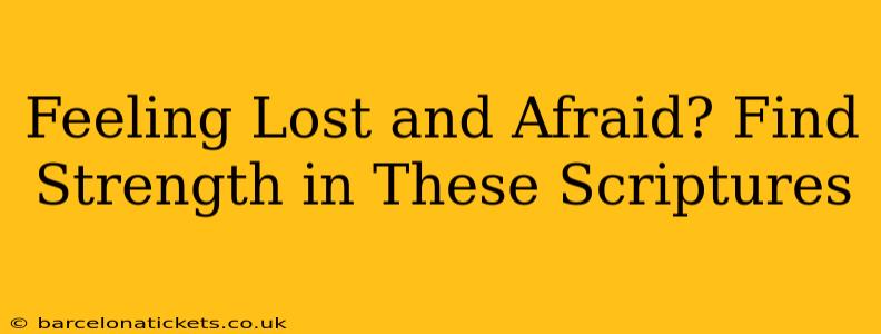 Feeling Lost and Afraid? Find Strength in These Scriptures